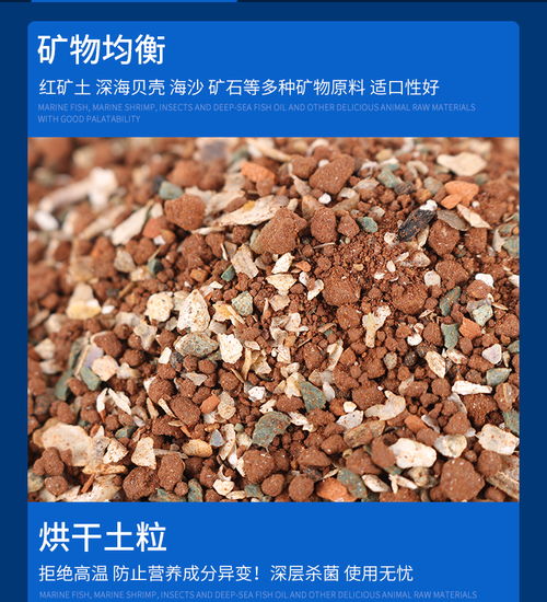 黄金搭档 红土与矿产的财富融合之道